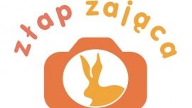 W pogoni za zającem