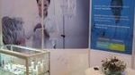 Borealis and Borouge show