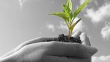 Commission proposes strategy for sustainable bioeconomy in Europe
