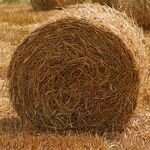 Można przerabiać biomasę na tworzywa
