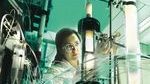 Bayer gets green light fo
