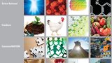 Clariant powers color choice for 2013