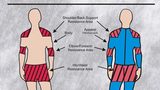 Sports exercise suit design in Arnitel Eco wins DSM e-nnovation contest