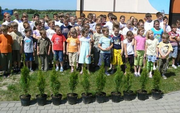 Drzewko za Butelkę: zebrano 2,8 mln sztuk opakowań PET