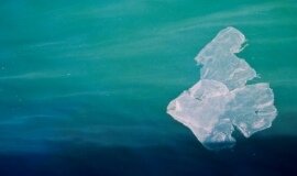Governor of Illinois vetoes “plastic bag” bill