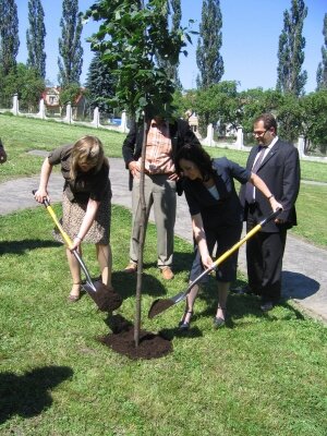 Akcja "Drzewko za butelkę" 2007 zakończona