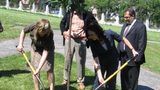 Akcja "Drzewko za butelkę" 2007 zakończona