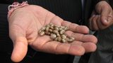U.S. Department of Agriculture lists DSM EcoPaXX polyamide 410 grades in “BioPreferred” Catalog of biobased products