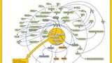 Production capacity of bio-based polymers will triple by 2020