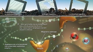 Biodegradowalne opakowani