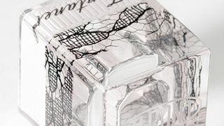 The "Maison Surlyn" unvei