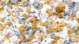 Przetwórcy tworzyw chcą usprawnić recykling