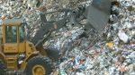 O recyklingu w Szczecinie