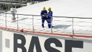 BASF trzyma się...