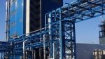 BASF otwiera fabrykę twor