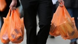 MEPs voted to reduce plas