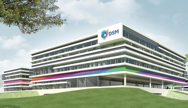 DSM opens international research center