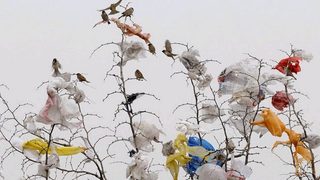 Jednorazówki nie znikną z