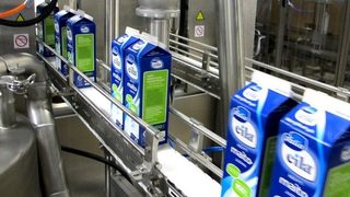 Fully renewable carton pa