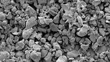 Revolutionary bio-based additives for wood coatings