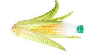 Stanieje produkcja tworzy