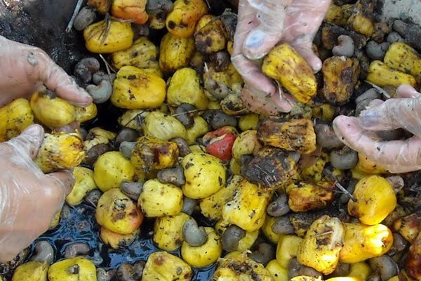Dobre rezultaty testów biopochodnego plastyfikatora do PVC