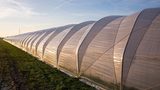 Clariant offers polymer additive solution for agriculture film producers