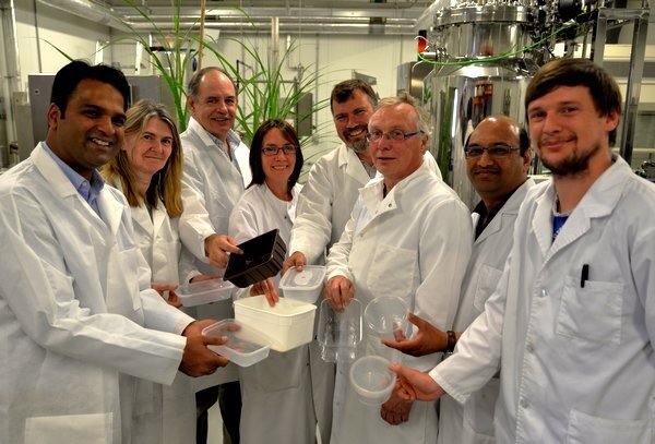 IBERS joins European sustainable packaging initiative