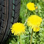 Sumitomo Rubber...