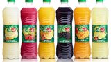 Succulent and natural products for P.E.T. Engineering's first project in Israel